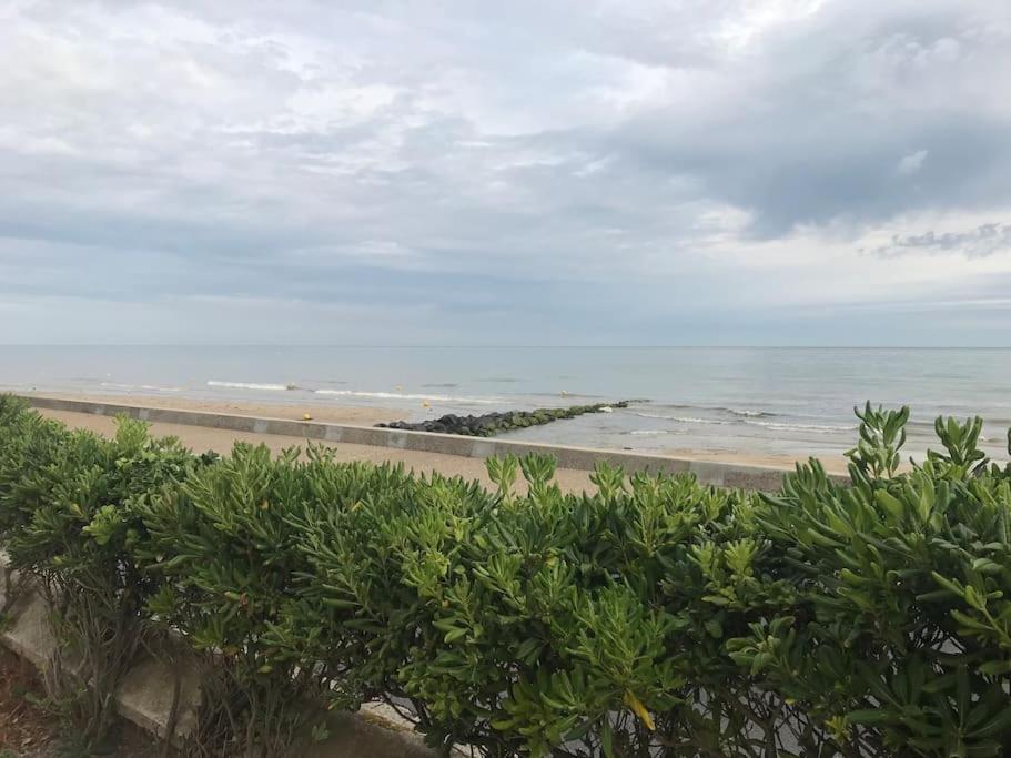 Vue Exceptionnelle En Front De Mer, 8 Personnes Ver-sur-Mer Esterno foto